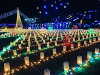 広島市植物公園の写真・動画_image_471158