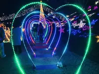広島市植物公園の写真・動画_image_471159
