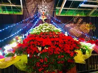 広島市植物公園の写真・動画_image_471161