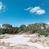 久高島の写真・動画_image_472819