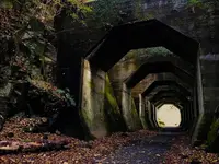 八角トンネルの写真・動画_image_474317