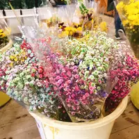 上天草物産館さんぱーるの写真・動画_image_474322