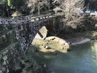二俣橋の写真・動画_image_474651