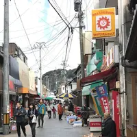呼子の朝市の写真・動画_image_475602