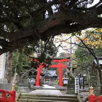 白浜神社の写真・動画_image_475724