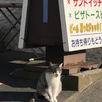 鍋田浜の写真・動画_image_475730