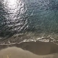 鍋田浜の写真・動画_image_475735