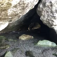 鍋田浜の写真・動画_image_475740