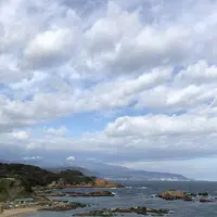 爪木崎の水仙の写真・動画_image_475759