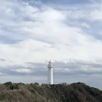 爪木崎の水仙の写真・動画_image_475761