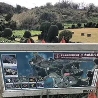 爪木崎の水仙の写真・動画_image_475765
