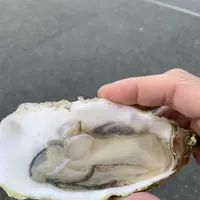 南三陸さんさん商店街の写真・動画_image_475879