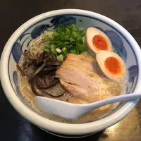 濃厚豚骨 NOTONの写真・動画_image_477156