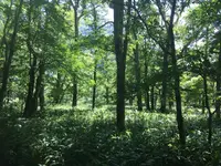 上高地の写真・動画_image_477749