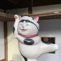おかげ横丁の写真・動画_image_477912