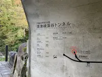 清津峡渓谷トンネルの写真・動画_image_477925