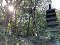 国際文化会館の写真・動画_image_479228