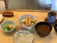 天ぷらと和食 山の上の写真・動画_image_481429