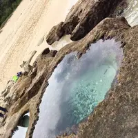 ハートロックの写真・動画_image_482269