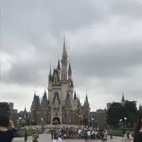 東京ディズニーランドの写真・動画_image_483270