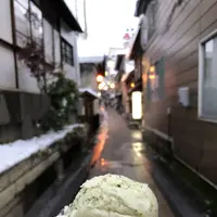 湯田中温泉の写真・動画_image_483333