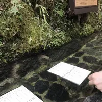 貴船神社の写真・動画_image_485331