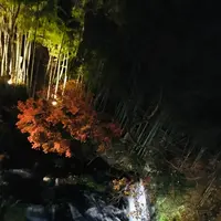 庄助の宿 瀧の湯の写真・動画_image_485343