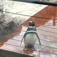 上越市立水族博物館 うみがたり（旧：上越市立水族博物館）の写真・動画_image_485346