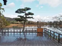 大覚寺の写真・動画_image_486467