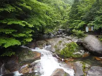 白谷雲水峡の写真・動画_image_486493
