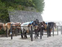 富士山５ごうめの写真・動画_image_486792
