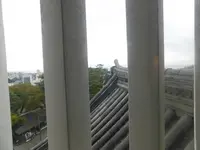 小田原城の写真・動画_image_486802