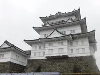 小田原城の写真・動画_image_486804