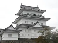 小田原城の写真・動画_image_486806