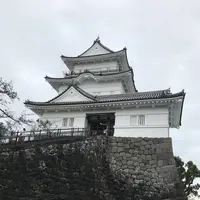 小田原城の写真・動画_image_486812