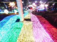 さがみ湖イルミリオン（相模湖燈祭）の写真・動画_image_486823