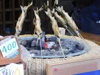 宮ヶ瀬湖畔園地の写真・動画_image_486830