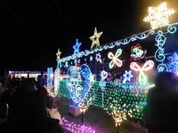 宮ヶ瀬湖畔園地の写真・動画_image_486833