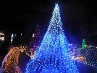 宮ヶ瀬湖畔園地の写真・動画_image_486834