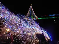 宮ヶ瀬湖畔園地の写真・動画_image_486837