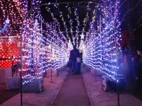 宮ヶ瀬湖畔園地の写真・動画_image_486839