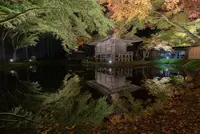 中尊寺の写真・動画_image_486890