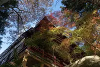 中尊寺の写真・動画_image_486891