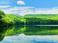 蔦沼の写真・動画_image_487306