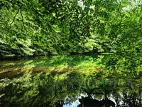 蔦沼の写真・動画_image_487307