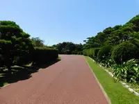 城ケ島の写真・動画_image_488005