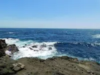 城ケ島の写真・動画_image_488006