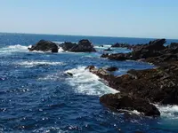 城ケ島の写真・動画_image_488007