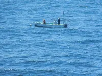 城ケ島の写真・動画_image_488009