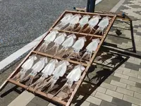 城ケ島の写真・動画_image_488011